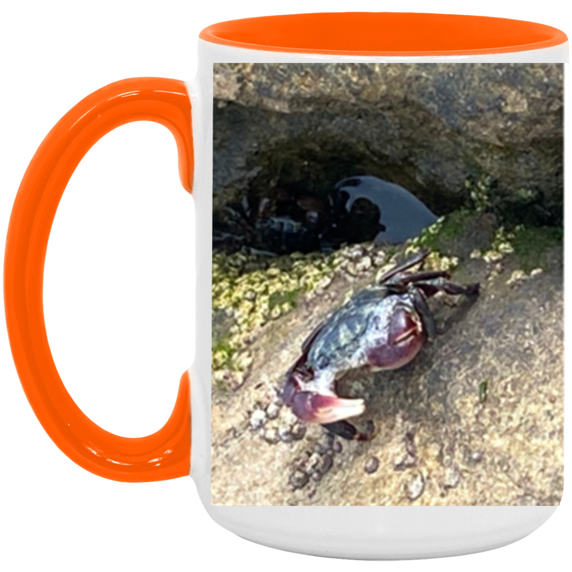 15oz Accent Mug - Crabby 1